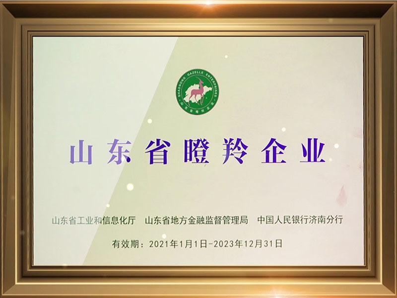 山东省瞪羚企业
